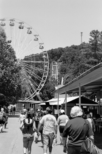 Knoebels_61_0002_g2p0002