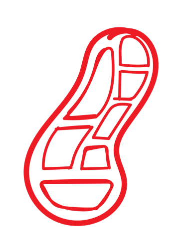Shelf_1Sketch-03