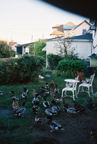 046Deviney016346-R1-027-12