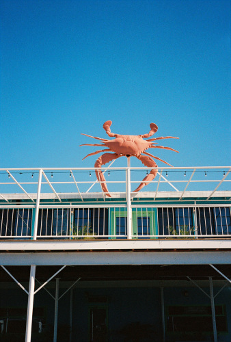 046Deviney016346-R1-039-18