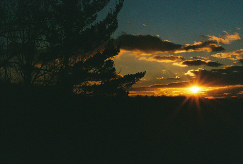 046Deviney016347-R1-044-20A