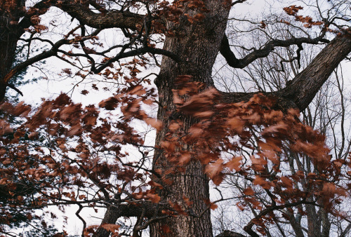 046Deviney016347-R1-058-27A