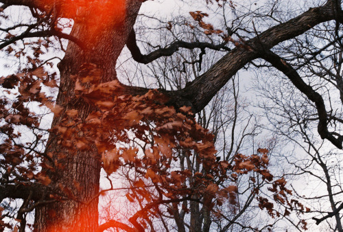 046Deviney016347-R1-060-28A