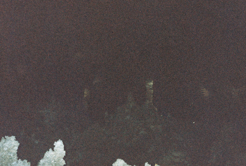 103Deviney008069-R1-E022