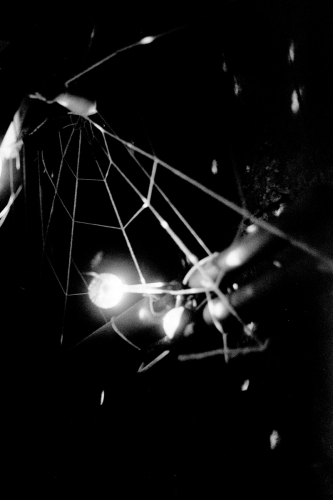 1_CoachRoom36_0027_g2p0027