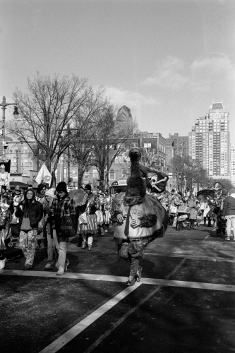 2_BulkTest14_0006_g2p0006