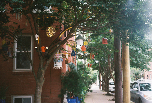 636Deviney009082-R1-040-18A