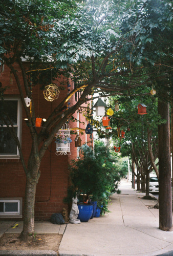 636Deviney009082-R1-042-19A