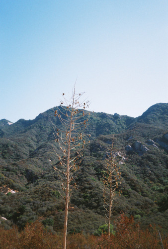 636Deviney009082-R1-048-22A