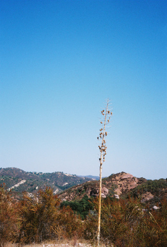 636Deviney009082-R1-050-23A