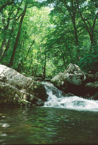 841deviney000087-R1-017-7