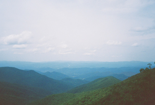 841deviney000087-R1-025-11