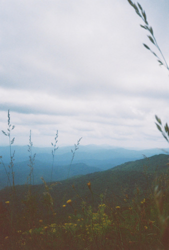 841deviney000087-R1-033-15