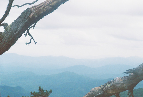 841deviney000087-R1-035-16