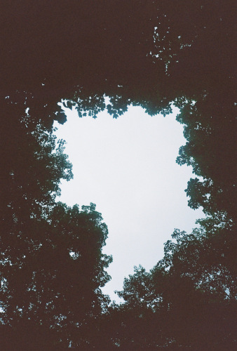 841deviney000087-R1-051-24