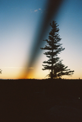 841deviney000087-R1-071-34