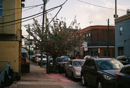 891Deviney042790-R1-037-17