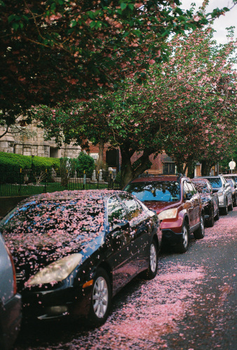 891Deviney042790-R1-039-18