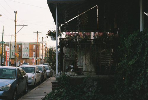 891Deviney042790-R1-041-19