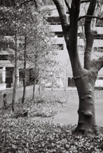 891Deviney042791-R1-012-4A