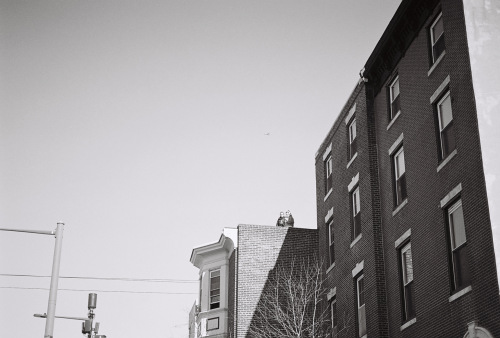 891Deviney042791-R1-026-11A