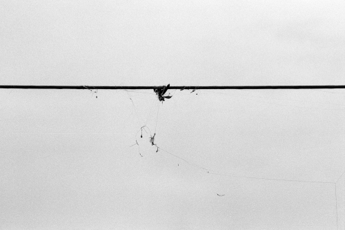 BethanyBeach9_0007_g2p0007