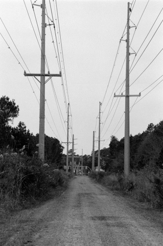 BethanyBeach9_0011_g2p0011