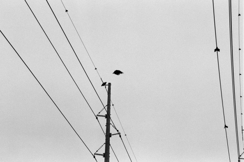 BethanyBeach9_0012_g2p0012