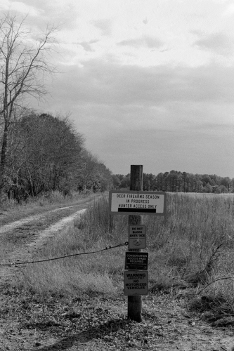 BethanyBeach9_0013_g2p0013