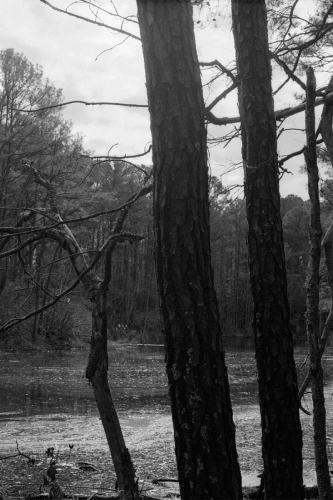 BethanyBeach9_0017_g2p0017