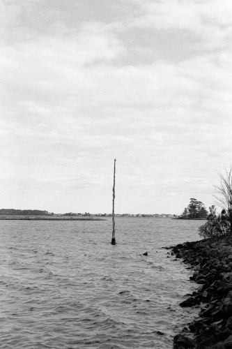 BethanyBeach9_0022_g2p0022