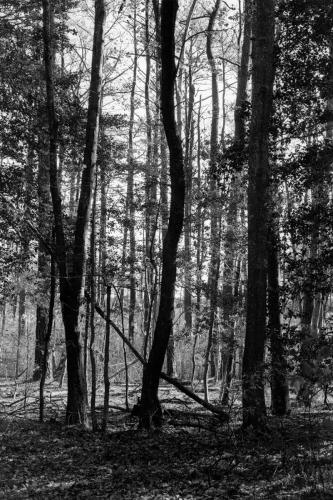 BethanyBeach9_0028_g2p0028