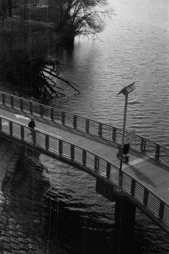 BulkTest10_0007_g2p0007