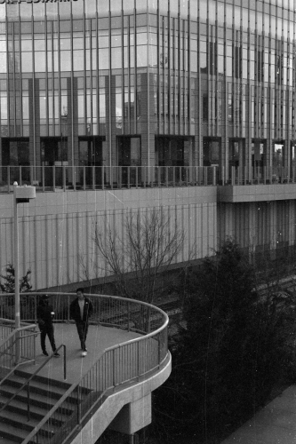 BulkTest10_0009_g2p0009