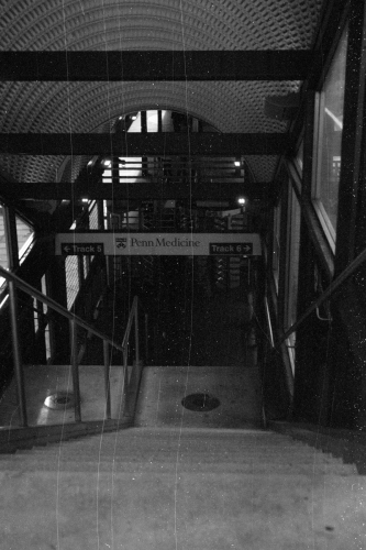 BulkTest10_0020_g2p0020