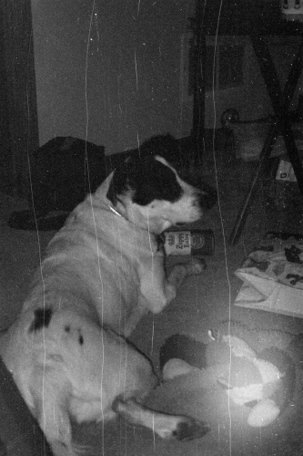 BulkTest14_0013_g2p0013