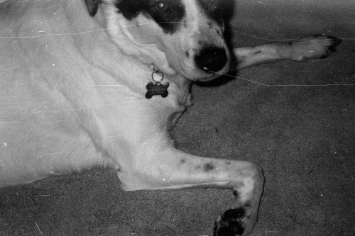 BulkTest14_0021_g2p0021