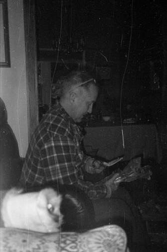 BulkTest14_0022_g2p0022