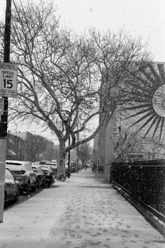 CC_Snow23_0001_g2p0001