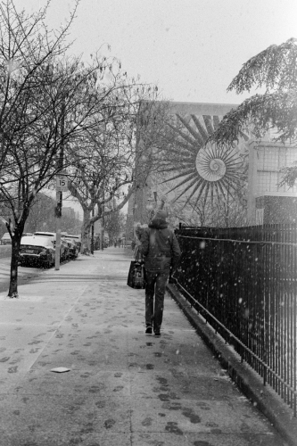 CC_Snow23_0003_g2p0003