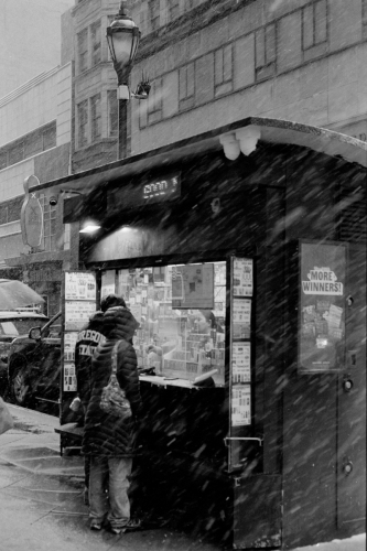 CC_Snow23_0009_g2p0009