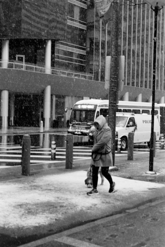 CC_Snow23_0014_g2p0014