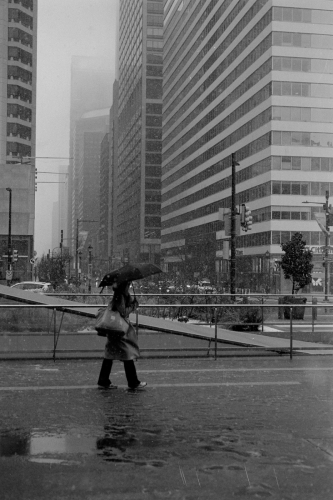 CC_Snow23_0016_g2p0016