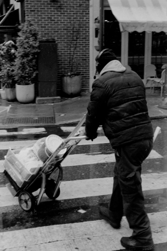 CC_Snow23_0026_g2p0026