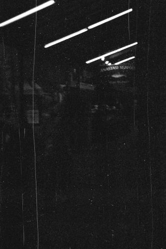 EveningWalk39_0003_g2p0003