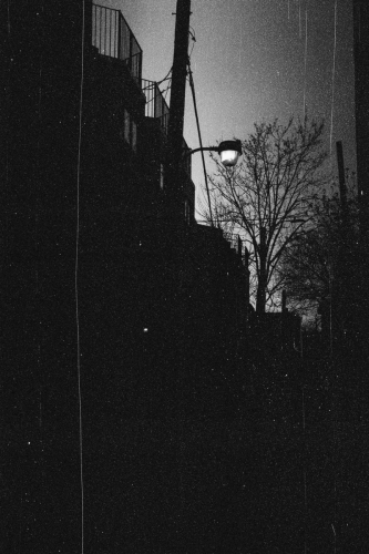 EveningWalk39_0008_g2p0008