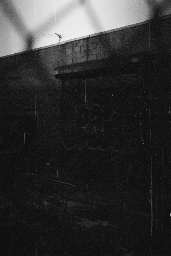EveningWalk39_0020_g2p0020