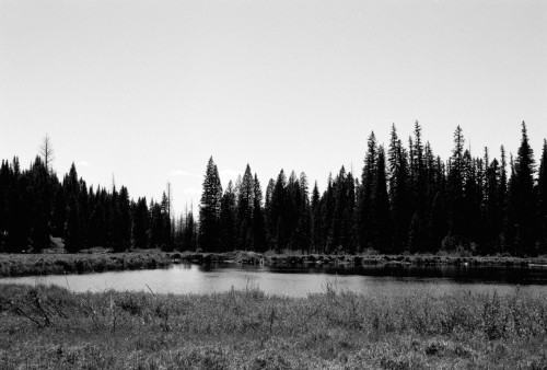 GTNP_BW12