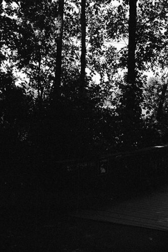 Misc_BigBoy_59_0008_g2p0008