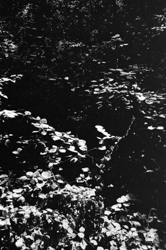 Misc_BigBoy_59_0010_g2p0010